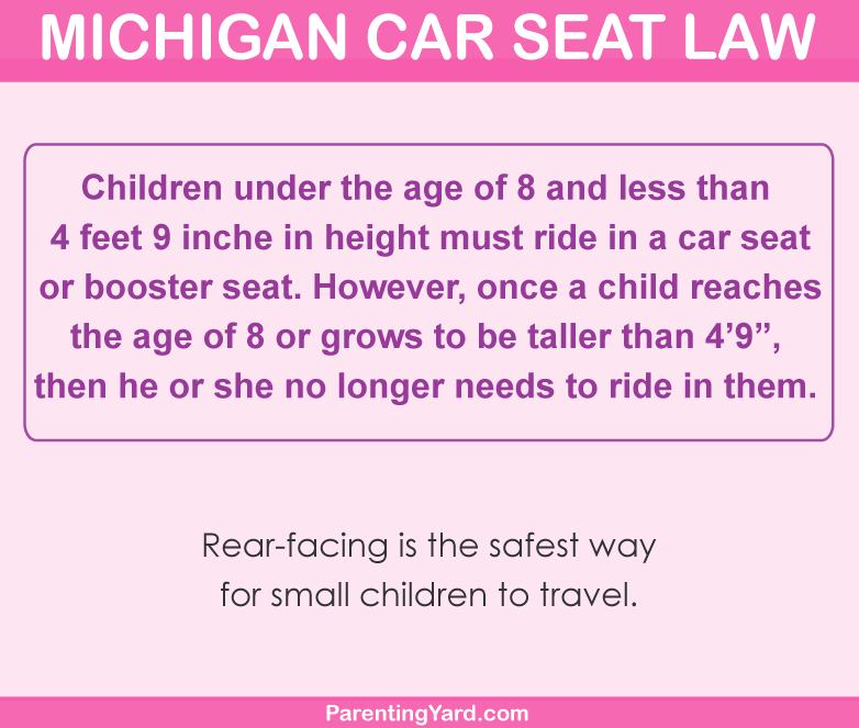 Michigan Car Seat Law